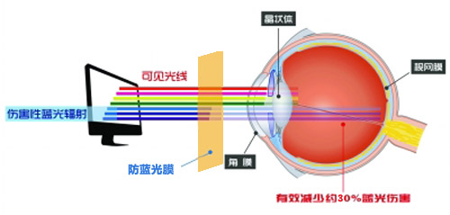 TIKTOK色板下载最新科技成果 TIKTOK色板2.4.1成護眼利器 TIKTOK色板下载最新科技成果 TIKTOK色板2.4.1成護眼利器
